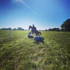 Meet your Posher, Mallie